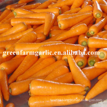 2016 new crop fresh carrot seeds price